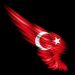 Allah tüm askerlerimizi korusun.