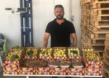 IĞDIR KAYISISI TESCİLLİNDİ