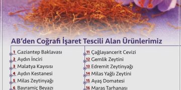 Avrupa Birliği’nden tescilli ilk baharatımız Safranbolu Safranı oldu.